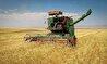 توقف واردات گندم در سال جاری/ در سال پایانی دولت قبل ۷ میلیون تن گندم وارد شد