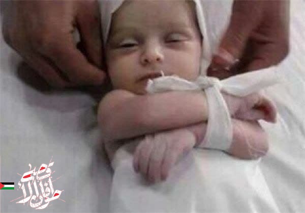عکس/ انتقام از خون کودکان و زنان مظلوم فلسطین