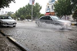 فیلم/ بارش سیل‌آسا باران در فارس