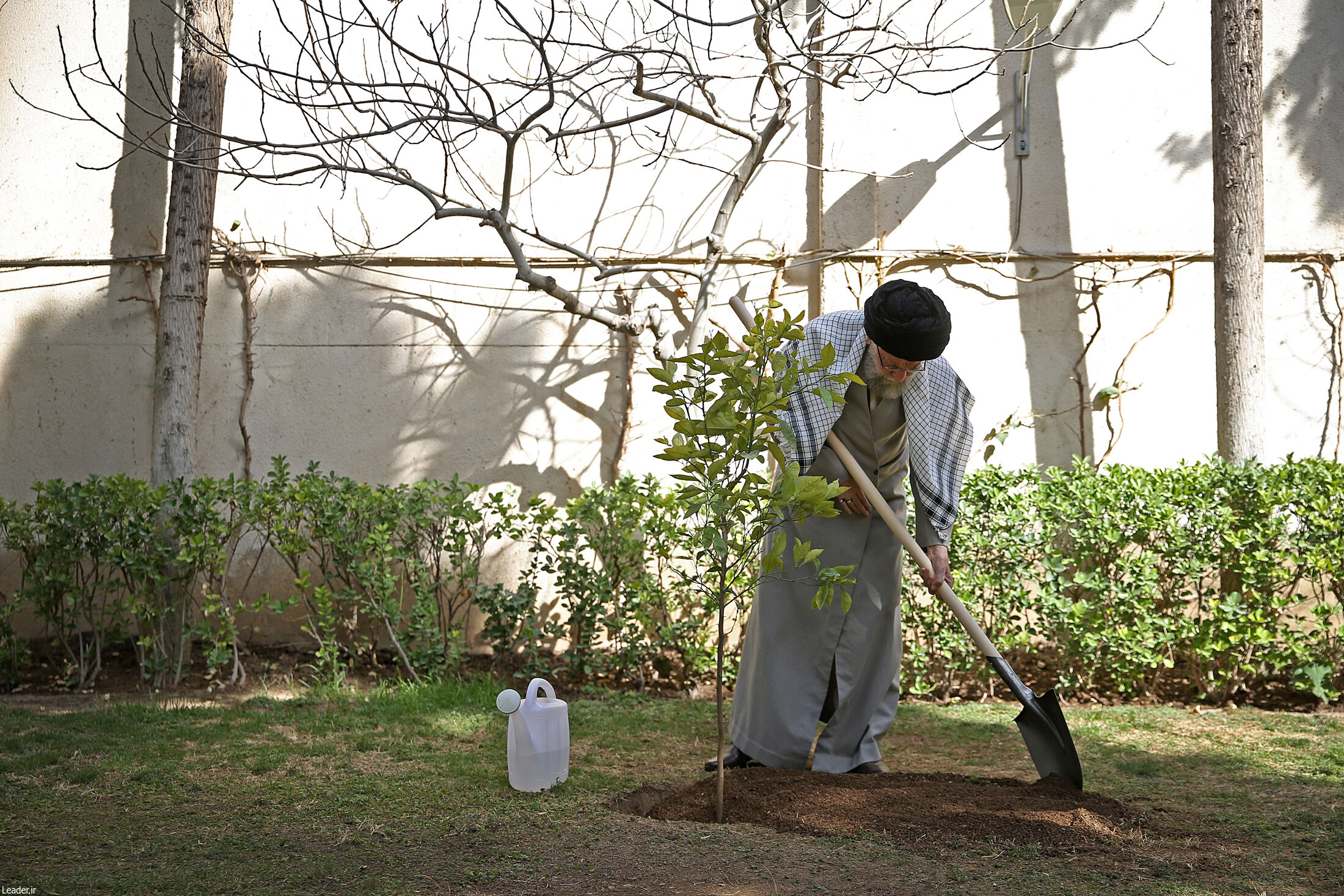 هر ایرانی سه درخت بکارد کاشت یک میلیارد نهال در چهار سال محقق می‌شود/ مسئولین مسمومیت دانش‌آموزان را با جدیت دنبال کنند