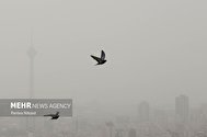 تصاویر / آلودگی هوای تهران