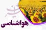 بارش پراکنده و وزش باد در مناطقی از نیمه جنوبی و نیز ارتفاعات البرز مرکزی/ شنبه؛ ورود سامانه بارشی جدید از غرب به کشور