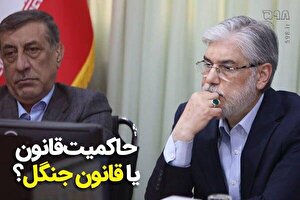 وزیر علوم تا دیر نشده کلاهش را بالاتر بگذارد! / آقای سیمایی صراف، نظر شما راجع به قانون جنگل چیست؟!